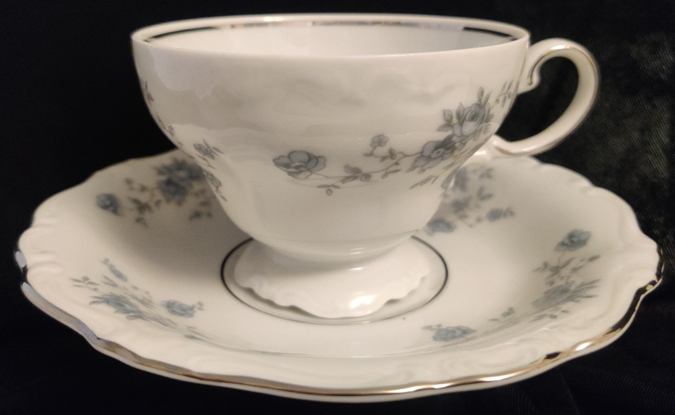 Footed Teacup And Saucer Blue Garland (Bavaria Backstamp) Johann Haviland