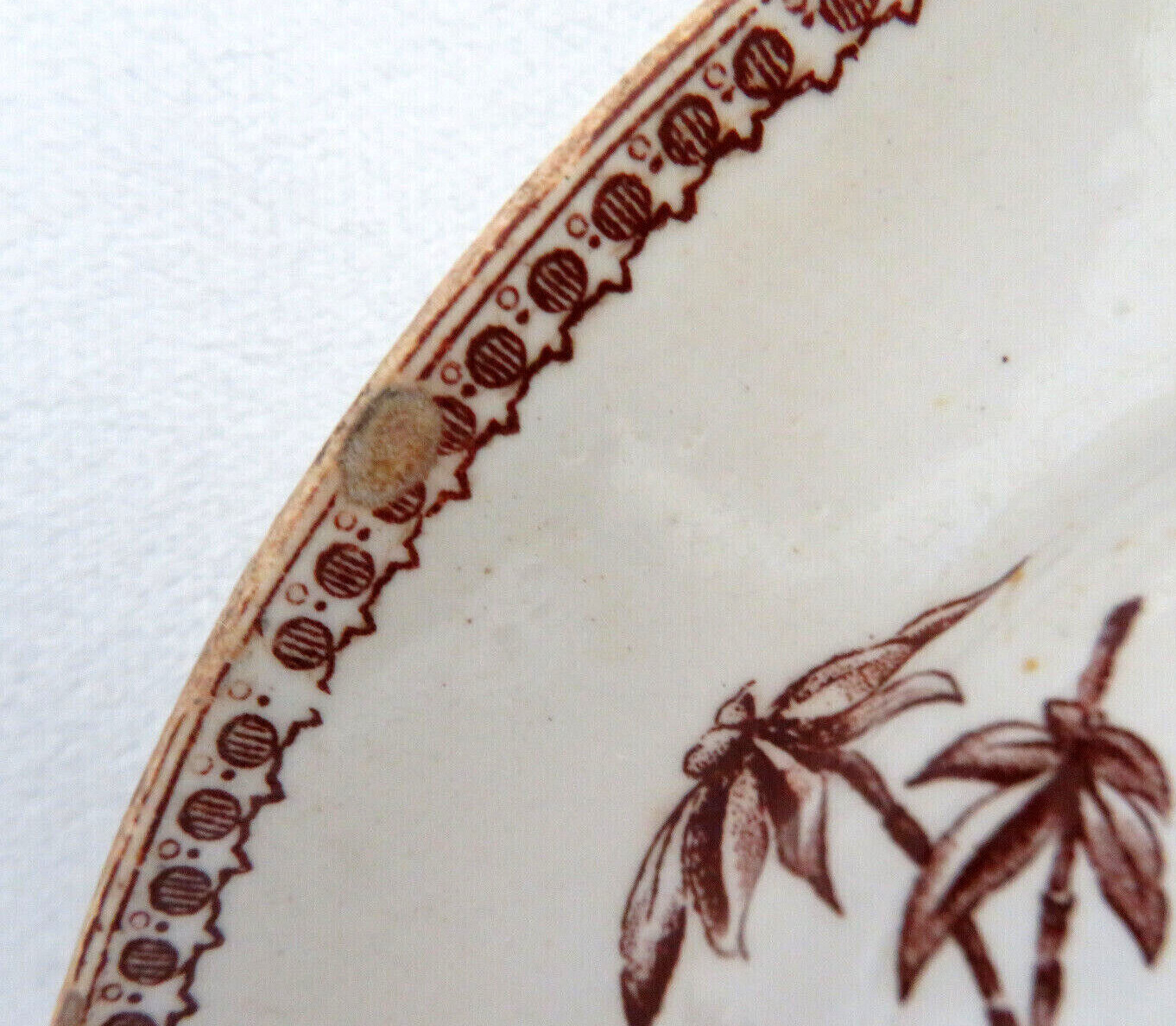 Antique Elsmore Staffordshire England Aesthetic Brown Transfer Ware Salad Plate