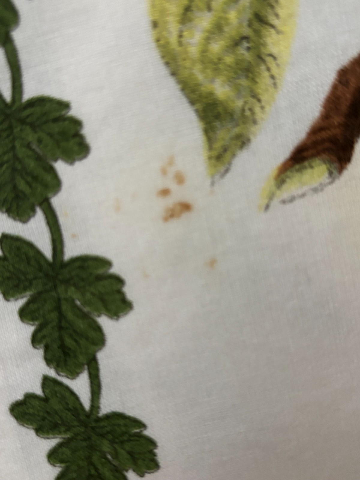 Portmeirion Pomona Set of 4 Cork & 8 Cloth Placemats
