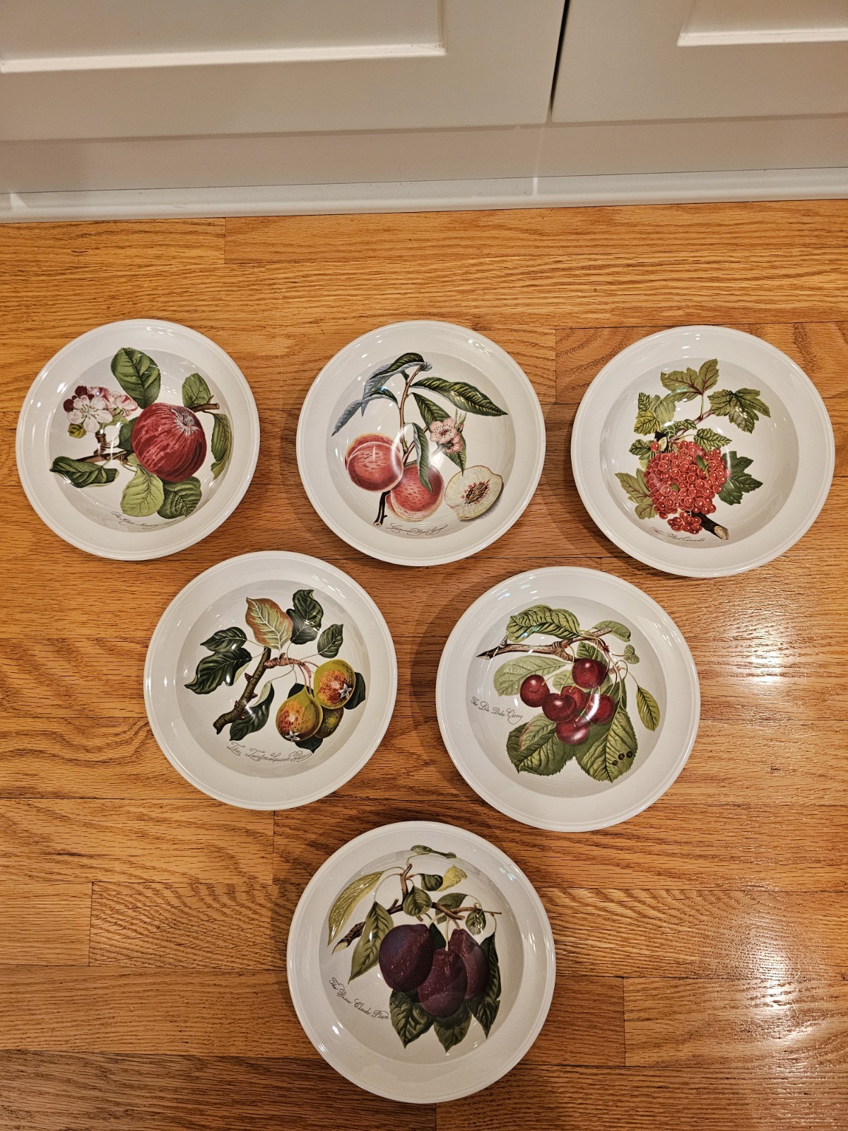Portmeirion Pomona No Border Fruit 6.75″ Cereal Fruit Bowls Set Of 6 EUC Retired