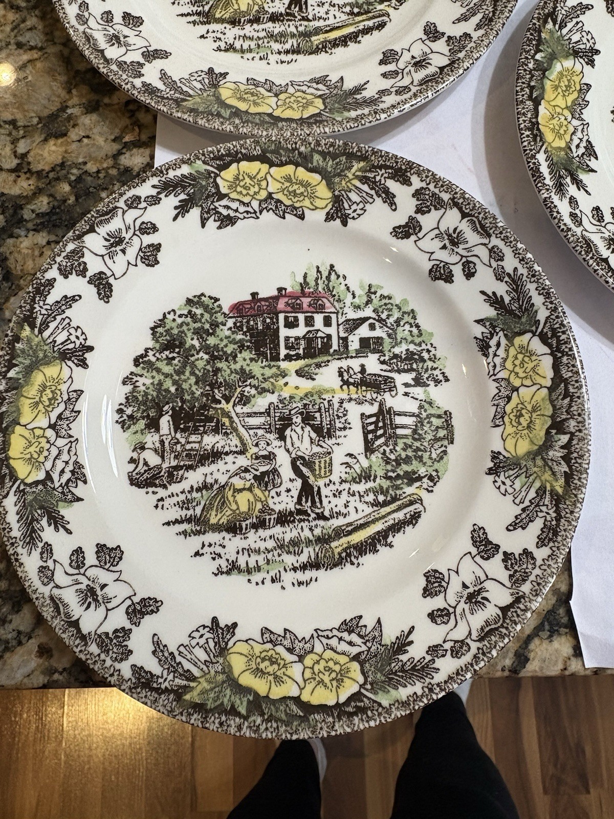 Royal China Fair Oaks Small Bread Plate With Farm Scene And Floral Border-3
