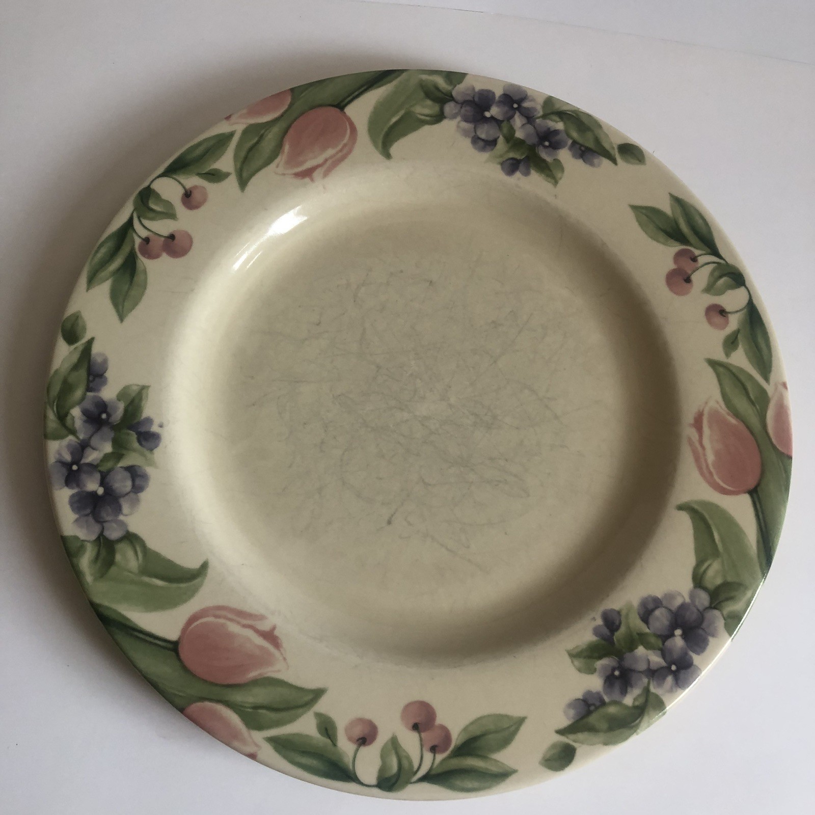 Pfaltzgraff Garden Party Impressions Dinner Plate 10.5″ Sold Separate 8 Availabl