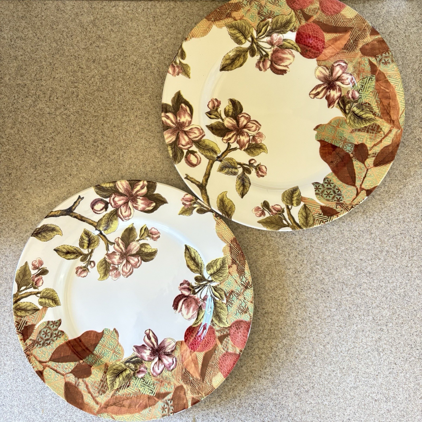 Royal Stafford Dinner Plates Lot Of 2 Vintage Garden England Floral