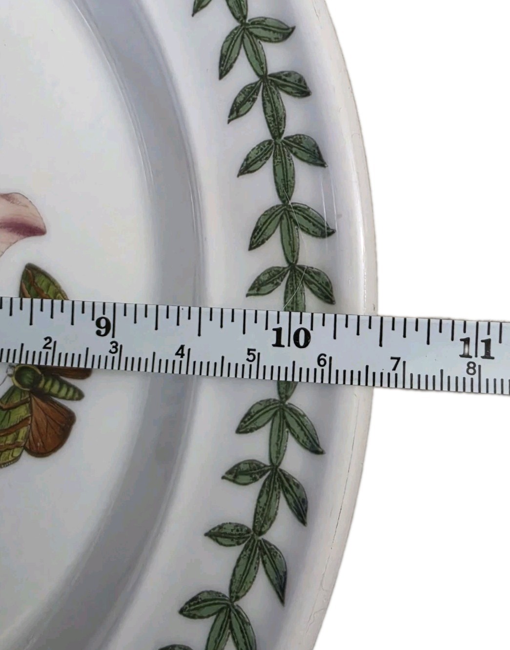 Vintage Set of 5 Portmeirion Botanic Garden Dinner Plates Flowers 10-1/2”