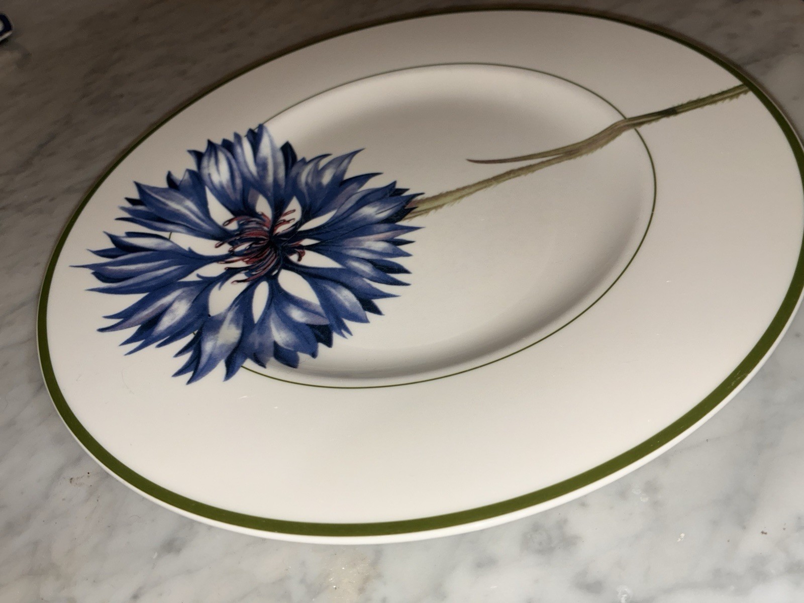 Villeroy Boch FLORA Dinner Plate 10.5″ Germany Green Trim Le Bleuet Flower