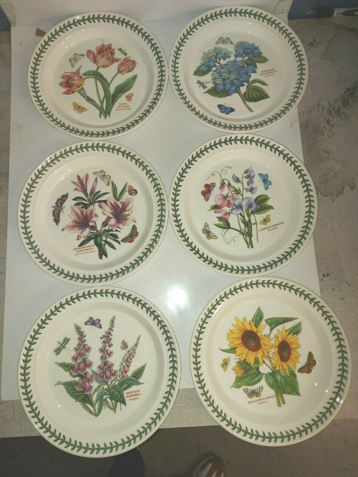 Portmeirion botanic garden set of 6 assorted dinner plates—4601—