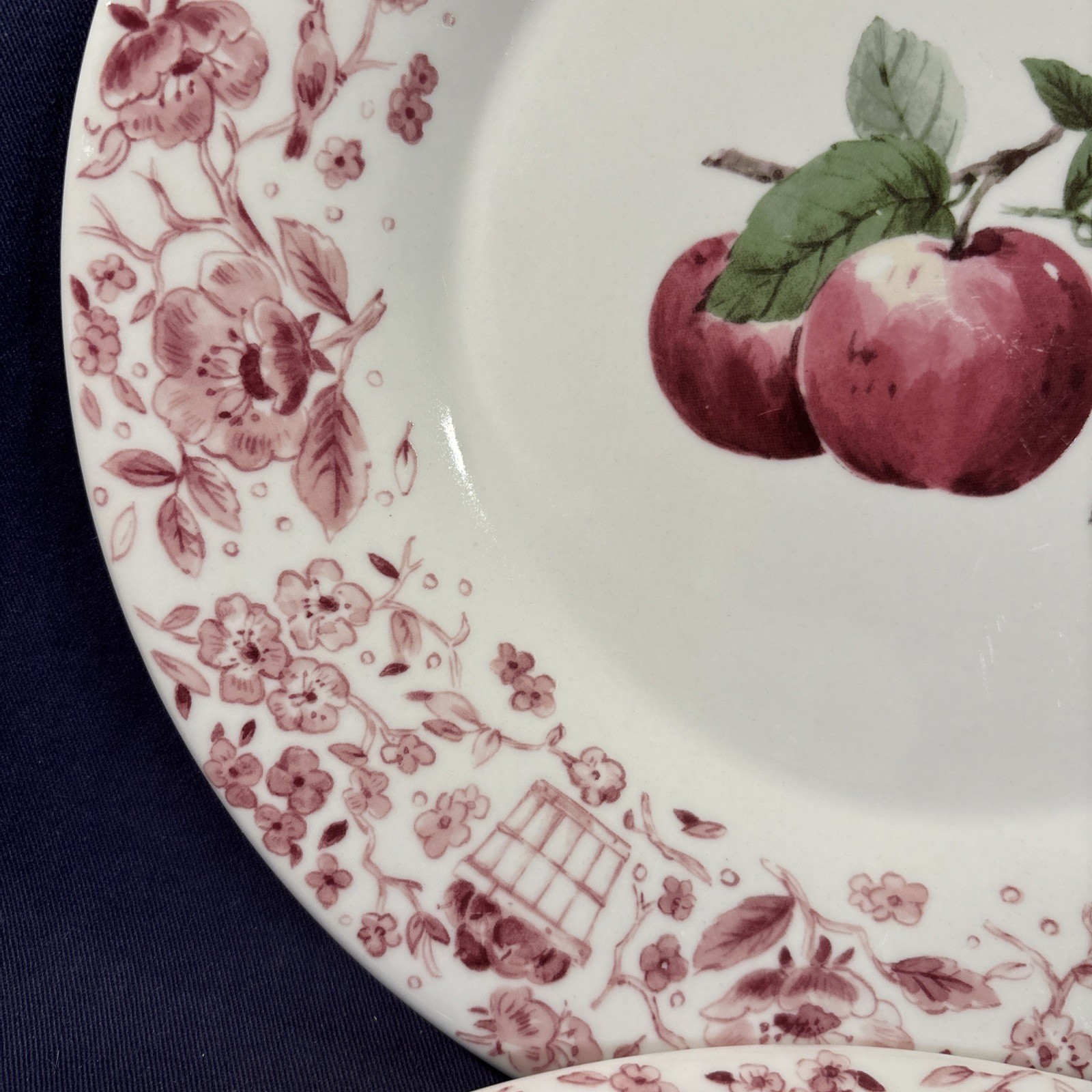 Pfaltzgraff Delicious Apple 11″ Dinner Plates Set of 2 Pink Floral Border