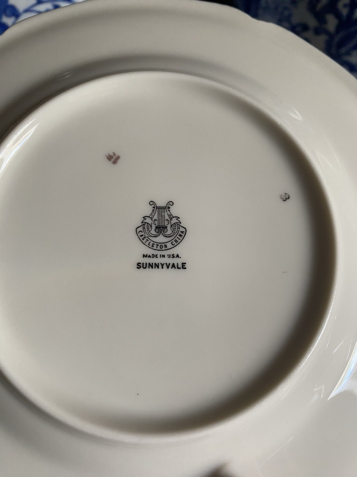 CASTLETON USA SUNNYVALE FIVE PIECE PLACE SETTING FOR TWELVE /60 PCS