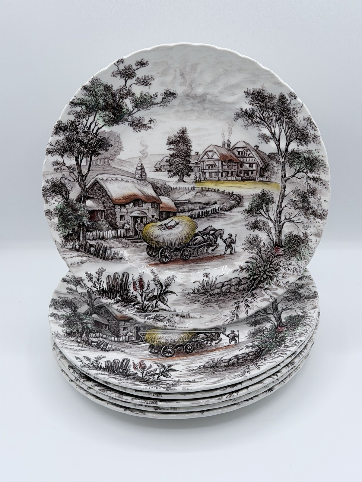 Staffordshire Ironstone Yorkshire Multicolor Dinner Plate England Set of 6