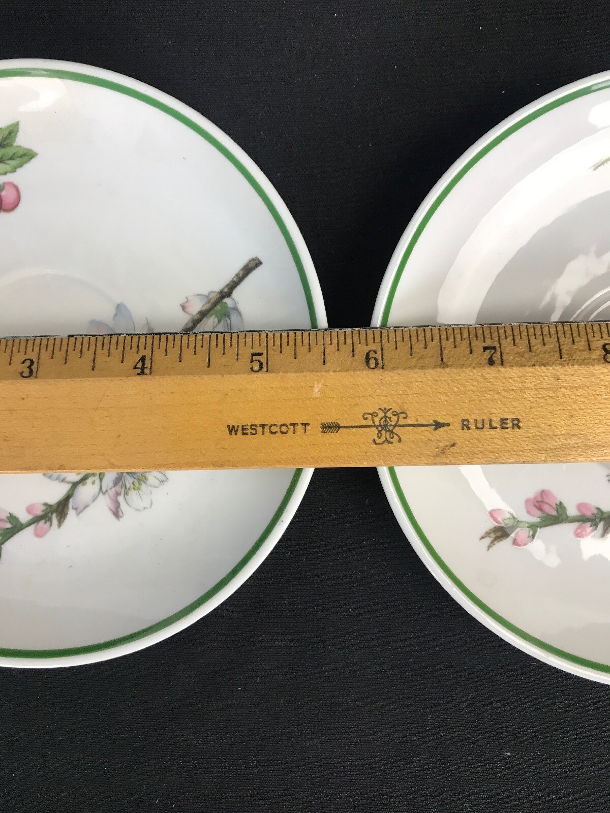 Apilco France Porcelaine Elysian Garden Two Saucers Botanical Floral Dinnerware