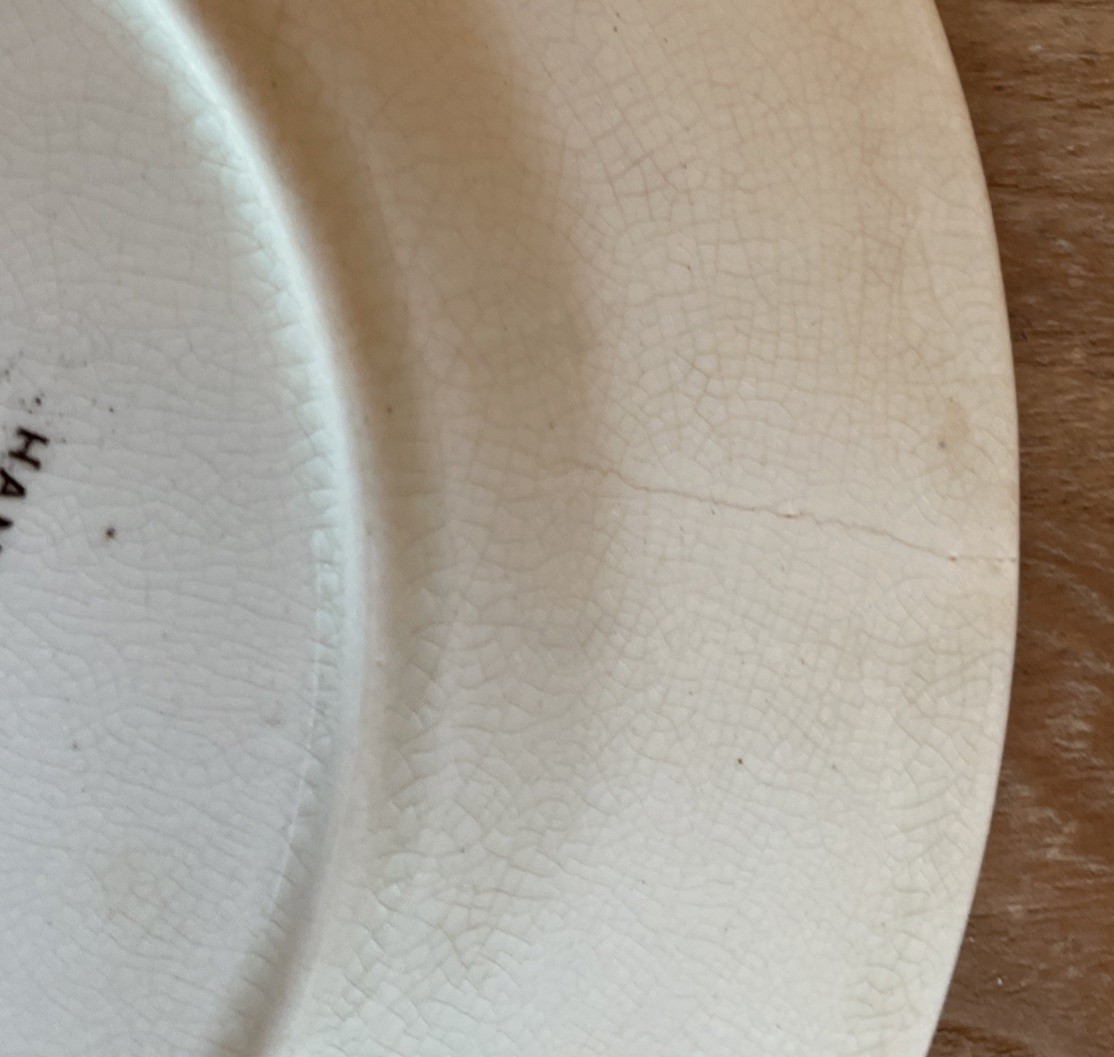Antique Old Hall Earthenware Hampden Aesthetic Brown Transferware Plate 9”