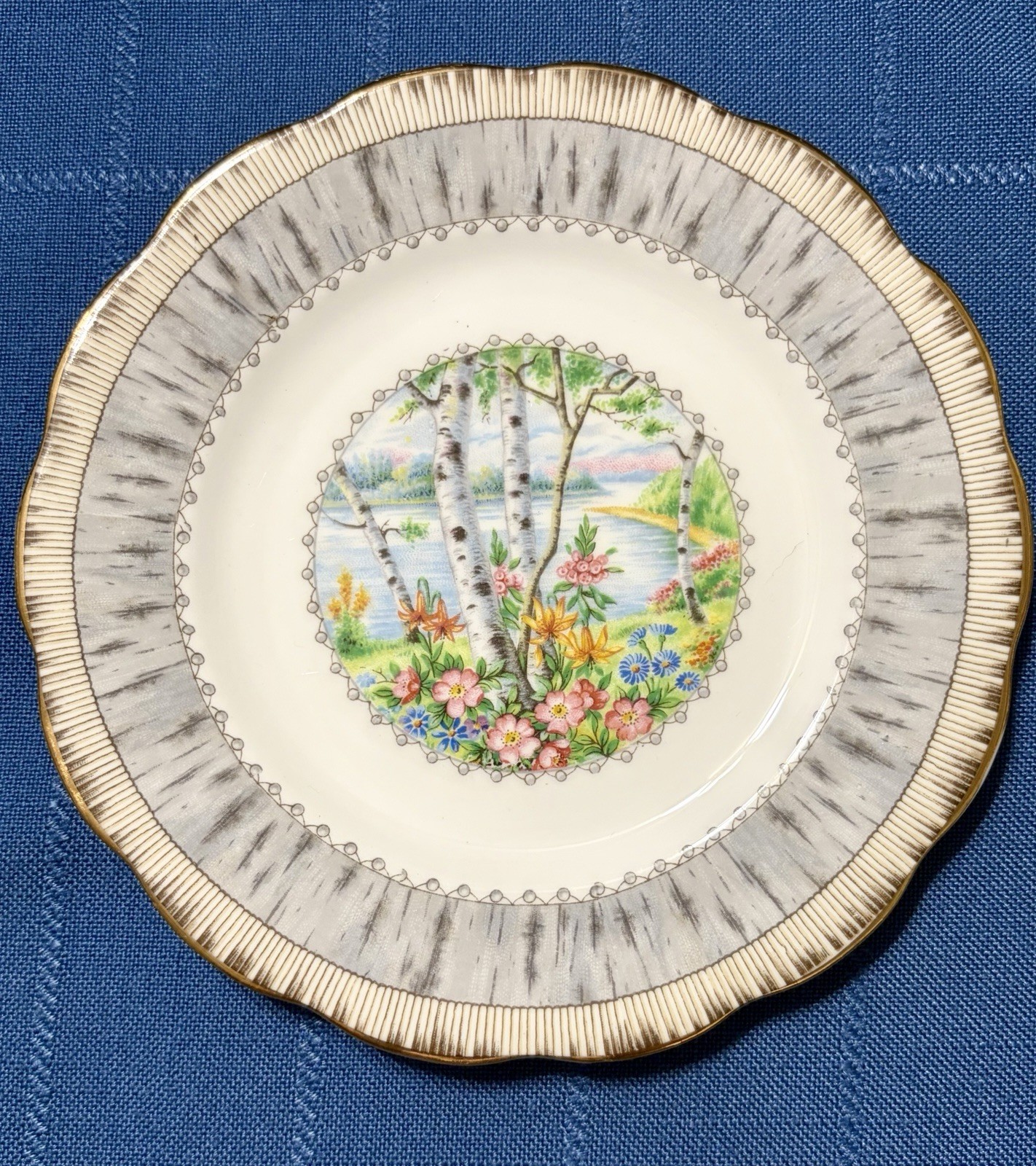 Royal Albert Silver Birch Cake Set for 6 Handled Plate C&S Cups & Saucers Plates