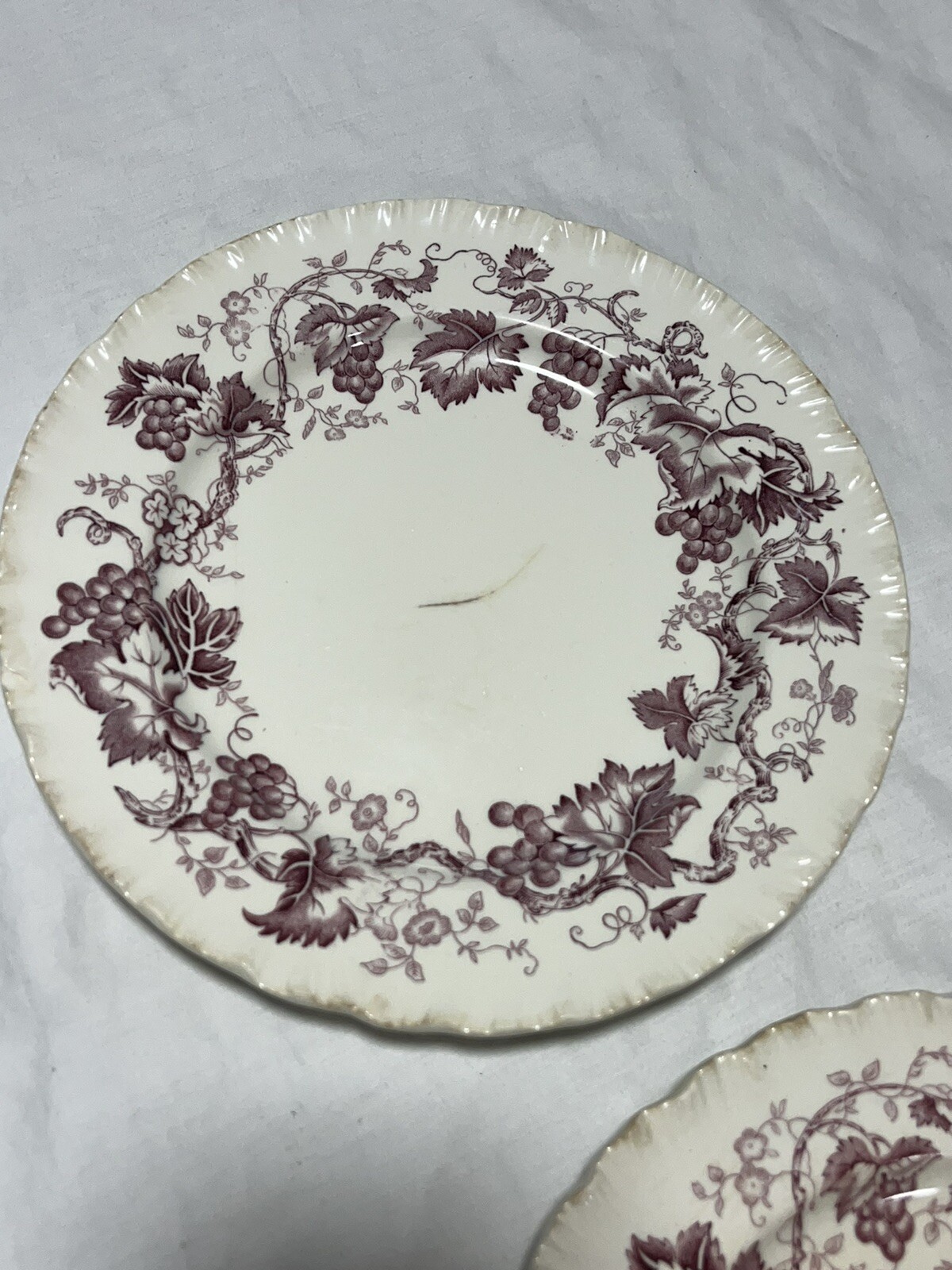Wedgwood Old Vine Of Etruria & Barlaston 2 Salad Plates 8 1/8in Made In England