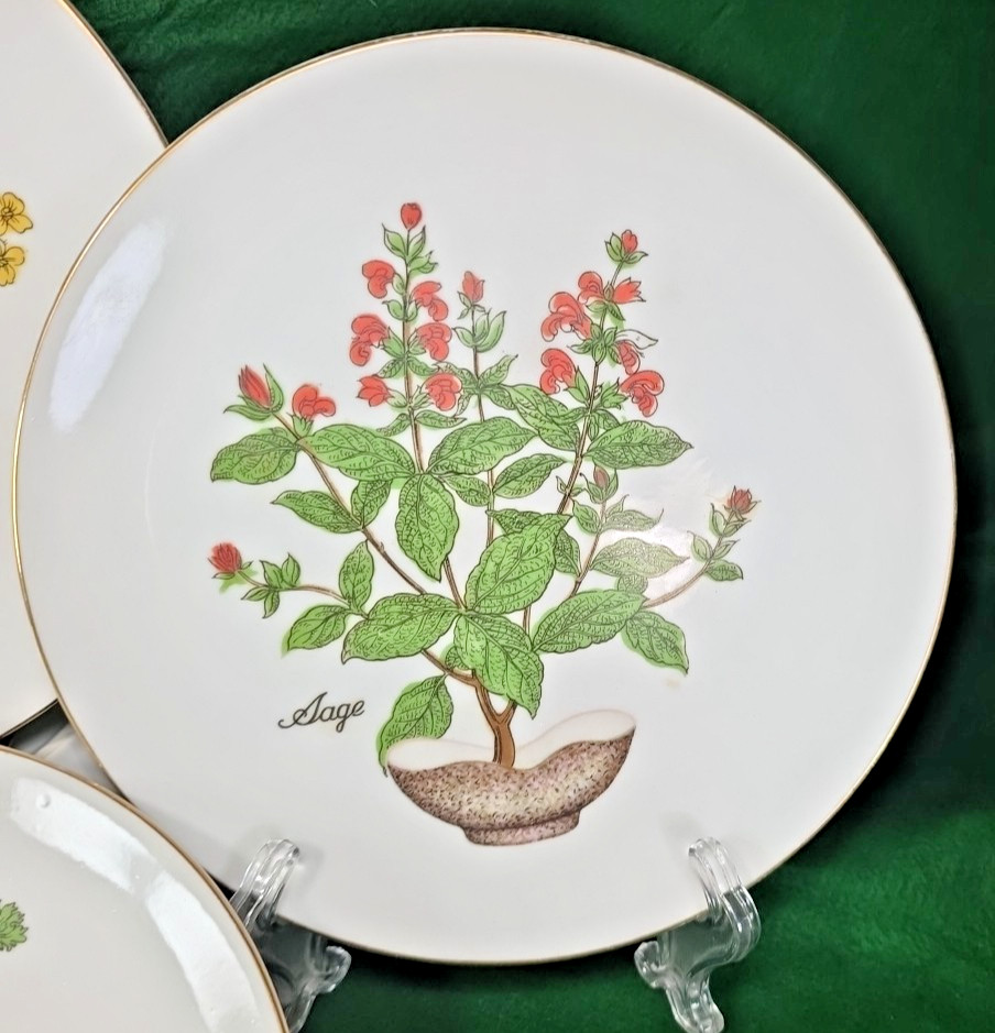 Vtg Herb Garden Wall Hanging Plates Set 4 Japan Parsley Mustard Sage Chives Deco