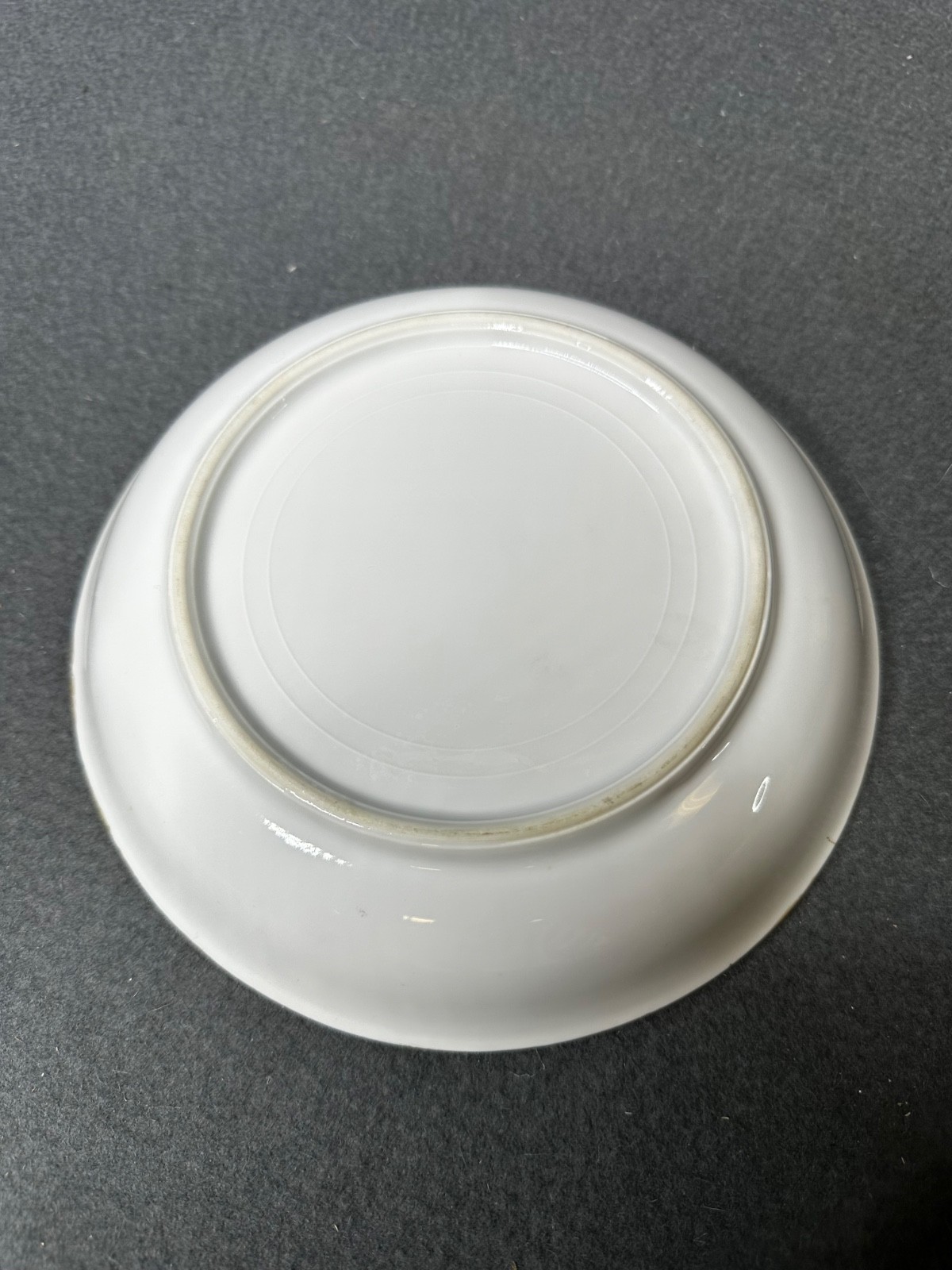 Vintage Set of (11) Hand Painted Thomas S Bavaria 7.5″ Bread Plates