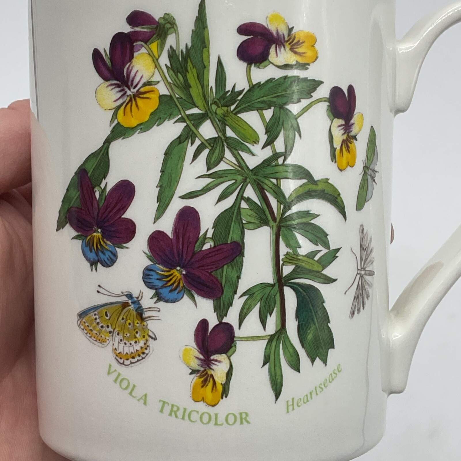Portmeirion Mug BOTANIC GARDEN VIOLA TRICOLOR Coffee Cup