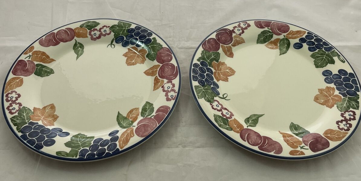 STAFFORDSHIRE TABLEWARE CHIANTI DINNER PLATE SET OF 2 – ENGLAND 8 1/2″