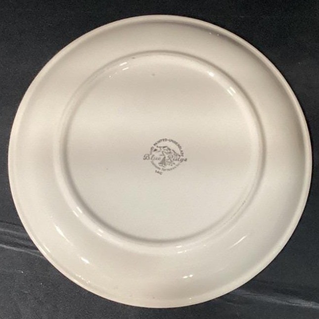 Blue Ridge Southern Pottery Dinner Plate, Vintage Hand-Painted Floral Dinnerware