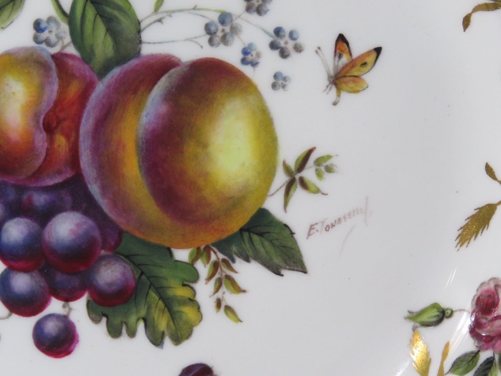 8 Royal Worcester 9″ Bone China Botanical Style Plates Signed E. Townsend