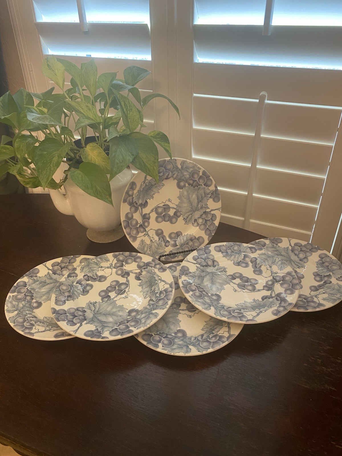 Lot Of 6 Pier 1 One Angleterre VINEYARD England Salad Dessert Plate Grapevines