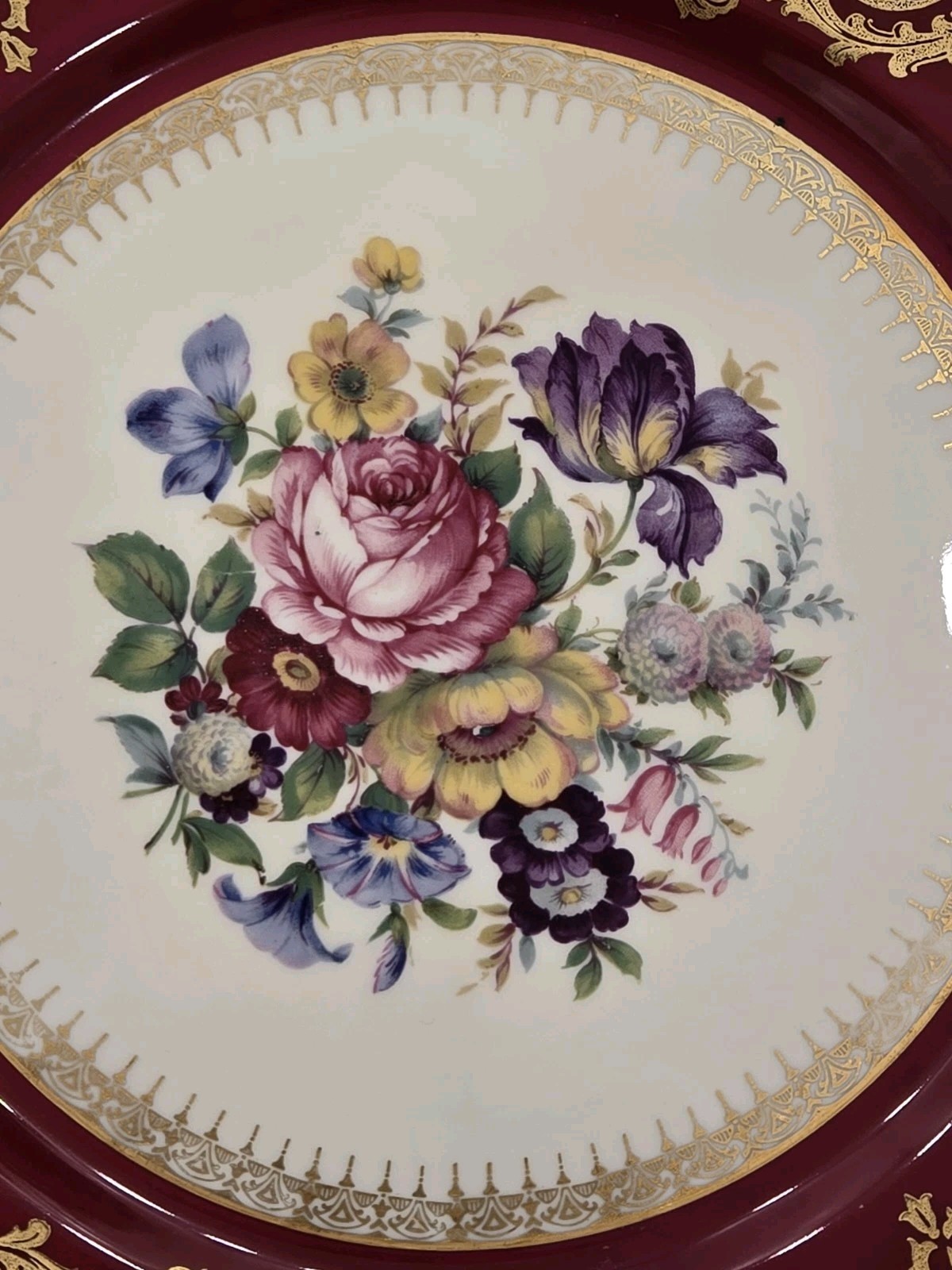 6 Rosenthal Ivory China 10.5″ Plates Maroon Gold Border Floral Center Scalloped