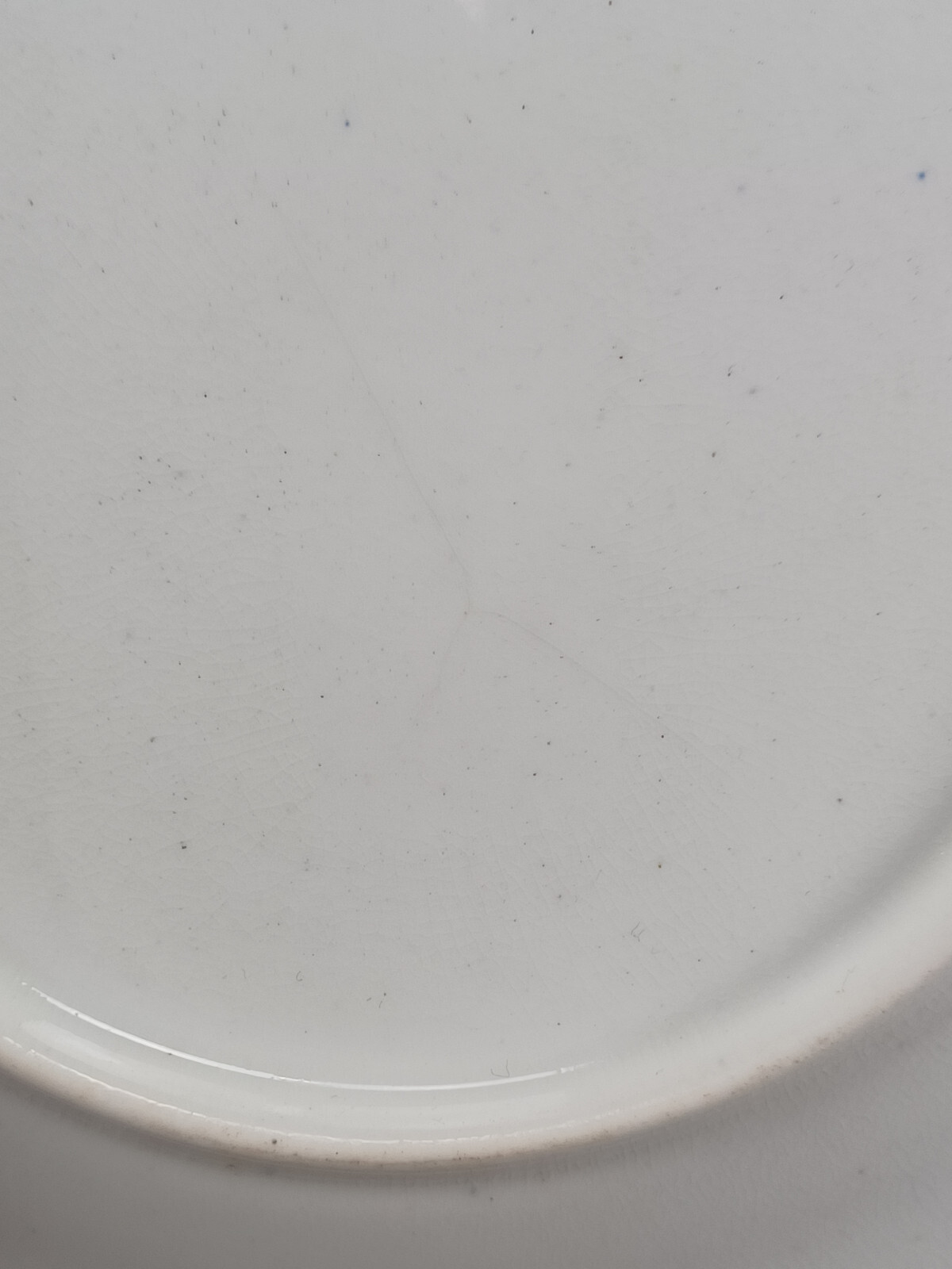 Chamberlain Worcester Gold Floral & Cobalt Border 9 1/8 Inch Plate C1800-1820 A