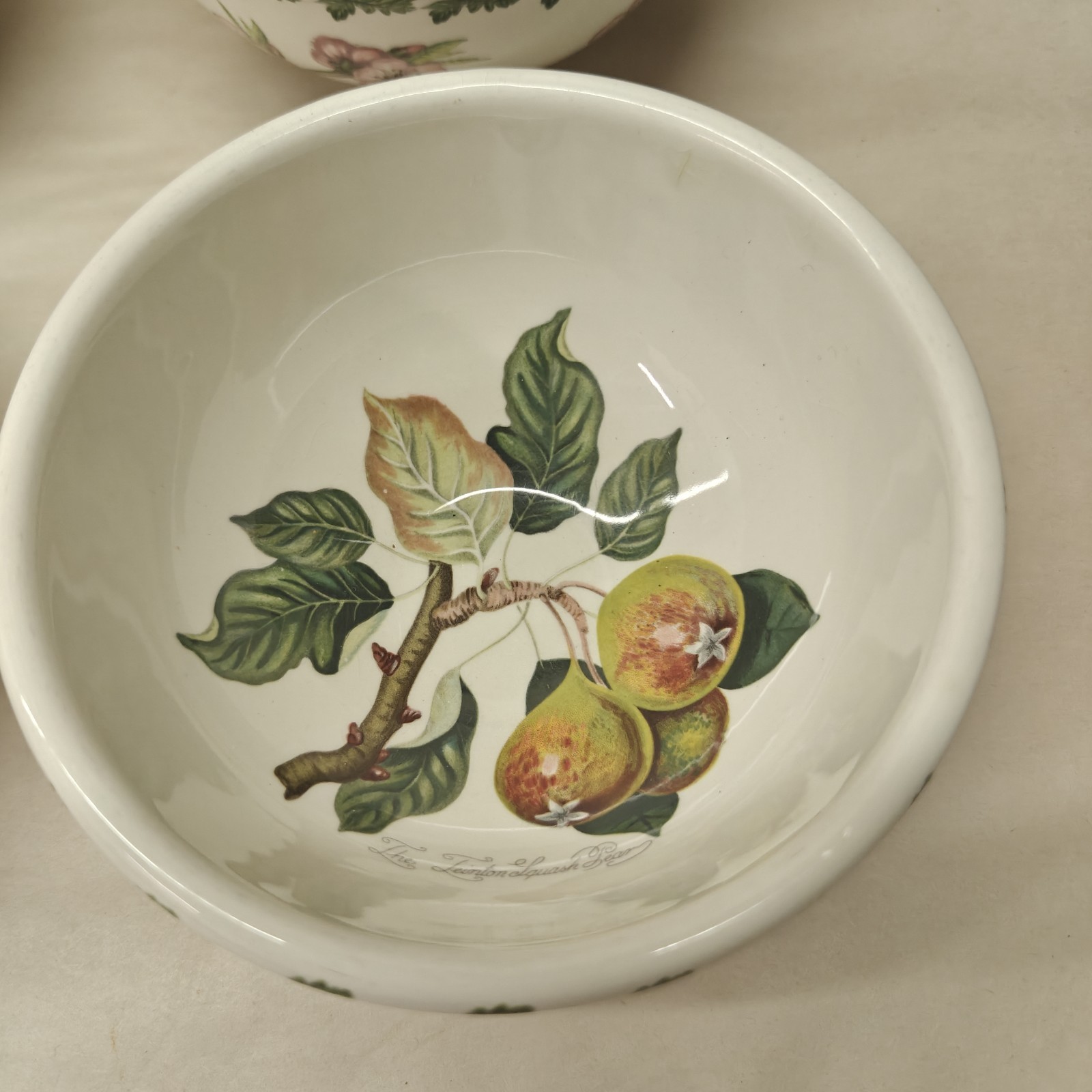 (4) Portmeirion Pomona Fruit/Dessert Bowls 5-1/2in – Made in England