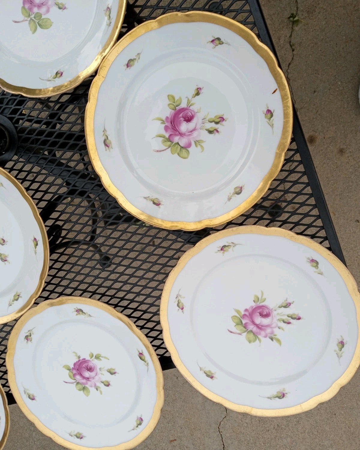 12 Antique Helena Wolfsohn DRESDEN ROSE Porcelain Dinner Plate OVINGTON BROS NY