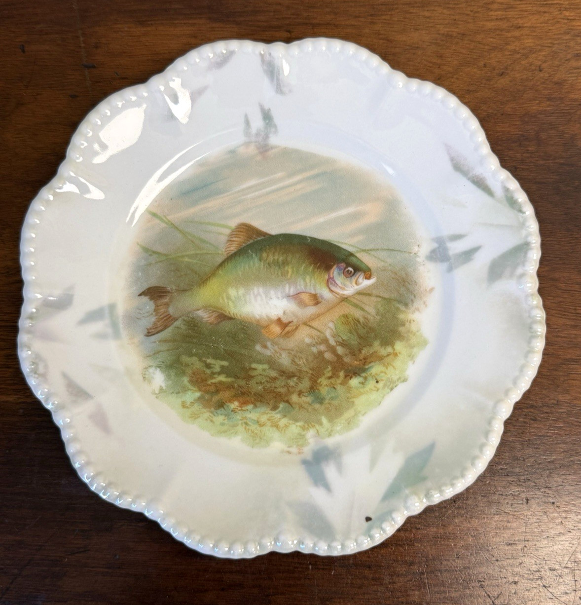 Pair Antique Silesien Germany Fish Porcelain Salad Plates 7 7/8″ Scenic Trout
